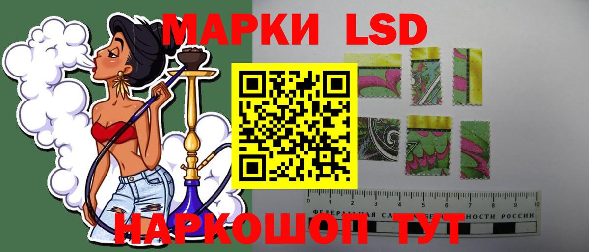 OMG tor  ЛСД экстази ecstasy  Вход с VPN  ЛСД экстази ecstasy  Светлоград 